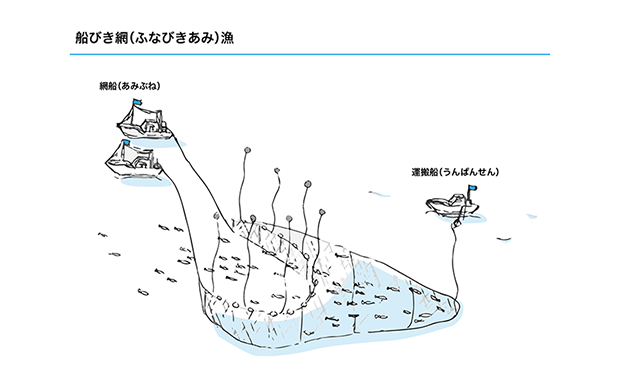 船びき網漁法