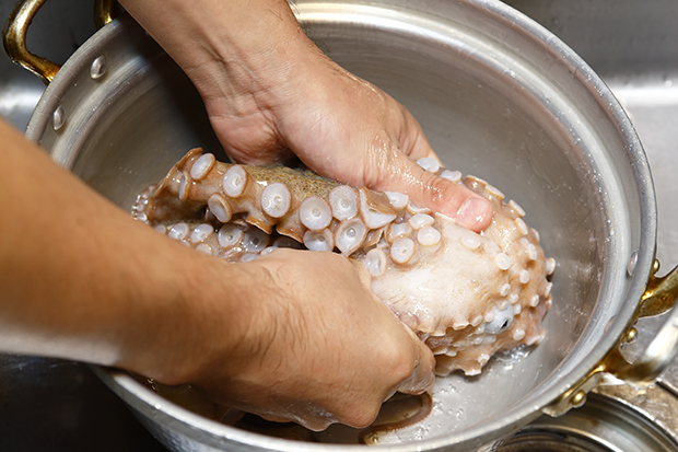 大阪産 泉だこ の美味しい食べ方 教えます